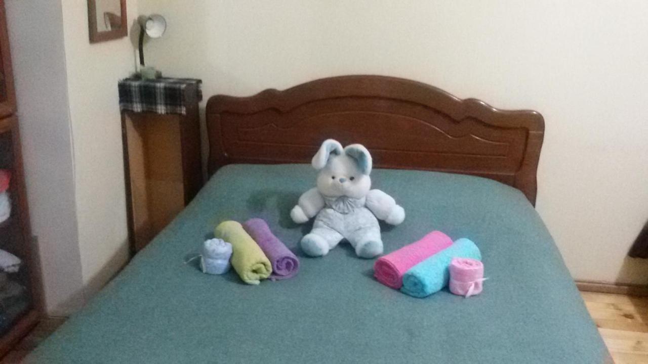 Apartment In Tbilisi Center Isk Home الغرفة الصورة